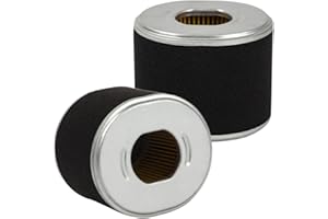 CARKIO Filtros de Aire para la GX240 GX270 8HP y 9HP (2 Unidades), de la Marca OuyFilters