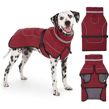 Amazon.de Bestseller: Die beliebtesten Artikel in Winterjacken &  Wintermntel fr Hunde