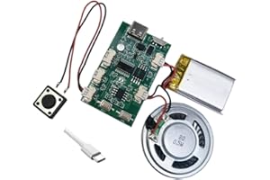 Gikfun Recordable Sound Chip - Plays Multiple Recordings, Push Button Control, Customizable Voice Recorder, DIY EK8484