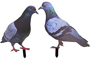 per FACULX Simulation Pigeon, Uccello artificiale in acrilico, mini animale d'imitazione rimovibile, grazioso modello di piccione finto, per giardino, corridoio, soggiorno, camera da letto (A e B)