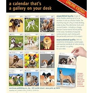 Dog Gallery 2017 Calendar