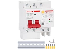 DIHOOL Smart Circuit Breaker with Surge Protection Type 2 Lightning Protection Overcurrent Protection (25A 2 pole 30MA 230V)