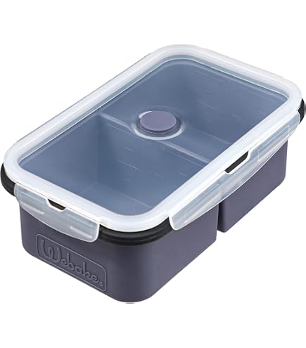Silikon-Gefrierbehälter Mit Deckel – 2 Stück, Je 1 Tasse (ca. 30,5 X 13,5 X 6 Cm), BPA-frei, Stapelbar – Für Suppen, Soßen & Meal Prep (Aqua)