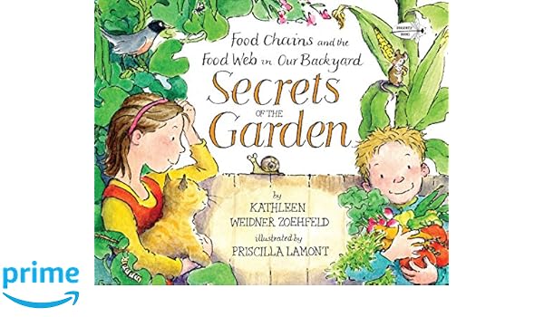 Buy Secrets Of The Garden Food Chains And The Food Web In Our