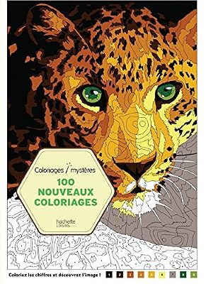 Hachette Pratique 100 Nouveaux coloriages Mystères