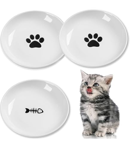 Keramik-Katzenfutterschale Set - Anti-Schnurrhaar-Müdigkeit, Mit Rutschfester Matte