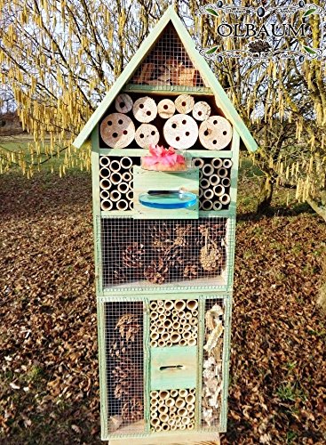 XXL INSEKTENHOTEL MIT TRÄNKE SDV-HOST-OS und FUTTERPLATZ, Futterstelle, moosgrün grün natur Nisthotel Hoch Schmetterlinge Bienen Marienkäfer als Ergänzung zum Meisen Nisthotel Hoch Meisenkasten oder zum Vogelhaus Vogelfutterhaus Futterstation für Vögel Insektenhäuschen - XXL INSEKTENHOTELs