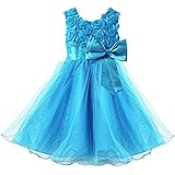 Live It Style It Girls' Flowers Formal Wedding Bridesmaid Party Christening Dress Kids Lace Dress Princess Dress Kids Baby Cl