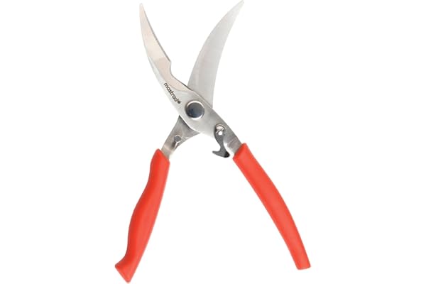 MASTRAD Ciseaux A Volaille Et Pizza - Lames Renforcées - Formes Longues Et Courbes - Loquet De Fermetures - Sécurité - Inox