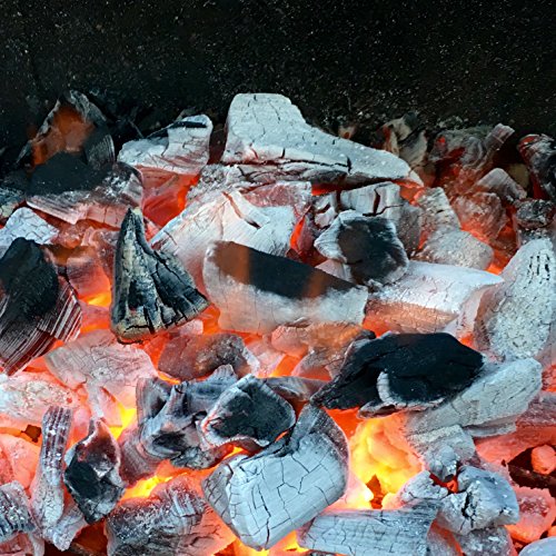 25kg BBQKontor Quebracho blanco Premium Grillkohle Holzkohle in Steakhausqualität + 20 Stück Anzünder - 5