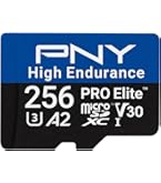 RexingUSA Scheda SD microSDXC UHS-3 4K Full HD da 256 GB