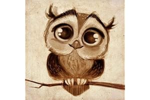 DCIDBEI DIY 5D diamond painting,5d diamond pintura de diamantes Búho lindo, pintura por número cuadros punto de cruz diamante manualidades decoración de la pared para 30x30cm