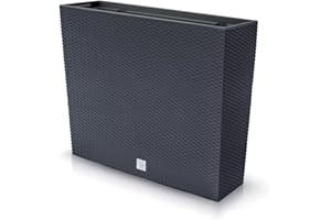 Prosperplast Sistema de riego rato & urbi, Dimensiones (mm) 240x50x240