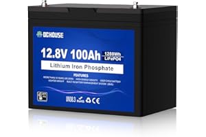 DCHOUSE 12V 100AH LiFePO4 Lithium Battery, Low-Temp Cut-Off, Group 31, Built-in 100A BMS, Up to 15000 Cycles Battery for RV, Marine, Trolling Motor, Travel Trailer, Energy Storage- Off Grid, Caravans