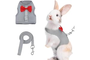 GGUFAY Guinzaglio per coniglio nano, imbracatura con guinzaglio, pettorina coniglio nano, regolabile (A)