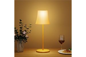 ‎SURIGHT Suright LED Tischlampe Kabellos, Akku Tischleuchte mit 3 Farbmodi & RGB, Stufenlose Dimmbar, Touch Control, IP54 Wasserdicht für Outdoor & Indoor Garten,Camping,Party,Schlafzimmer,Kaffeehaus