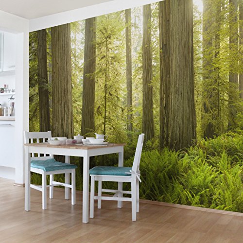 Vliestapete Premium – Redwood State Park Waldblick – Fototapete Breit Vlies Tapete Wandtapete Wandbild Foto 3D Fototapete, Größe HxB: 320cm x 480cm - 3