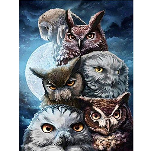 Saihui - Broderie diamant 5D avec strass - Modèle avec 5 hiboux - Décoration d'intérieur, 5 Owls - 11.8" x 15.7"