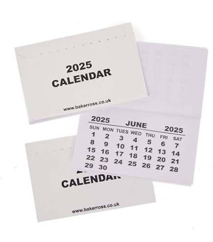 Baker Ross Kalenderrohlinge 2025, 12er-Pack – A4 Blanko-Kalender Zum Selbstgestalten Für Kinder