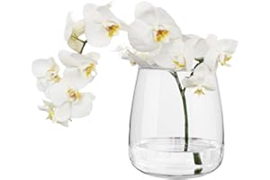 ‎TREND FOR HOME TREND FOR HOME Tulpen Vase H: 17 cm Blumenvase Glas Vase für Tulpen Vase Rund Vase Durchsichtig Tulpenvase Vase Bauchig Tischvase Glasvasen Durchsichtige Vase Blumenvasen | ⌀ 11.9 cm | Zinnia