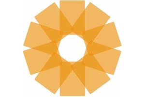 Crossbow Education Page Overlay - Orange (Pack of 10)