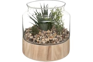 ATMOSPHERA CREATEUR D'INTERIEUR KASANOVA Atmosphera - Plante Artificielle Terrarium - Pot en Verre - H17-5 cm