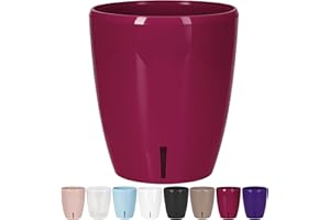 Santino ORCHIDEA Pot à Orchidée à Arrosage Automatique avec Système de Dèche et Indicateur de Niveau d'eau (Diamètre 15 cm, 2 L, Mauve)