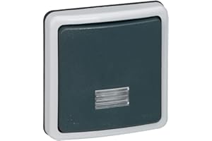 Legrand LEG90480 - Inter atrás y sale a la luz 10 A 66 plexo composable IP66 / IK08 Gris