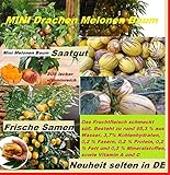 20x Mini Ch. F1 Drachen Melonen Melone Baum Samen Saatgut...