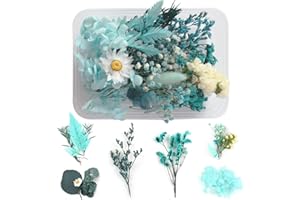 WJIAEER Fiori secchi naturali in rilievo Fiori conservati Resina DIY Gioielli Candela Nail art Crafts Scrapbooking Decorazione floreale (O). (O)