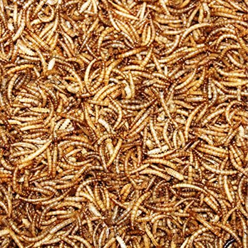 Mehlwürmer getrocknet 1 kg Beutel Premiumqualität