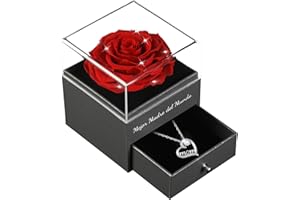 Qinqinxin Regalos Dia de la Madre, Rosa Eterna con Collar Regalos para Mama, Mejor mamá del Mundo, Flores Preservadas Dia de la Madre Regalos Originales, Regalo para Madre Mujer Abuela