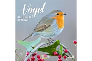Vögel 2025: Broschürenkalender mit Ferienterminen und Bildern unserer heimischen Vogelwelt. Format: 30 x 30 cm