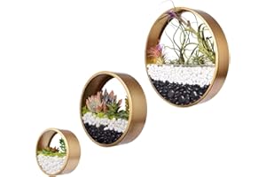 ECOSIDES Jardinière Suspendue Ronde,Planteur Murales Plante Titulaire Terrarium en Métal Air Plantes Vase Verticales Planteurs Stand Panier Succulent Pots de Fleurs Artificielles Décor Mural pour Maison,Bar
