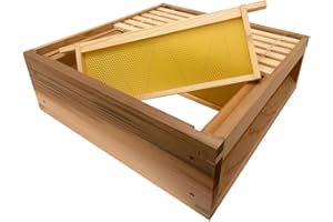 SIMON THE BEEKEEPER B.S National Western Cedar Super Box with Frames & Foundation