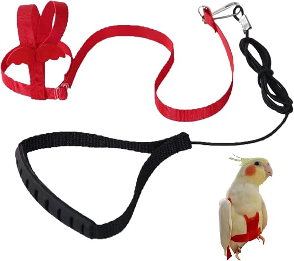 Imbracatura per pappagallo regolabile per animali domestici e uccelli guinzaglio per attività all'aria aperta corda da addestramento cinghia elastica anti-morso per pappagalli cacatos ara - 1