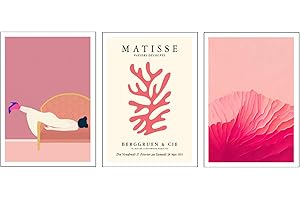 DKORARTE Set 3 Láminas A3 Decorativas Pared para Cuadros Decoración Salón Modernos, Dormitorios, Habitación, SIN Marco, figurativo, mujer, Matisse, (41 x 29,7 cm)