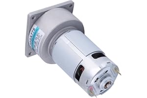 VIKYE Motor de Micro Engranajes, Motor de Engranajes de CC XD-60GA775 35W 12V 200/300 RPM Utilizado en Puertas y Ventanas Automáticas de Parrilla (200 RPM)