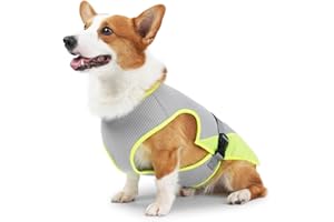 DONGKER Gilet de Refroidissement pour Chien,Gilet de Glace en Maille pour Animaux de Compagnie avec Sangles Réglables pour Petits,Moyens et Grands Chiens,Entraînement de Chasse en Plein Air,Camping
