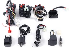 CDI kabelnät sats, likriktare elektrisk statorspole komplett kabel för ATV/QUAD Bike/Buggy