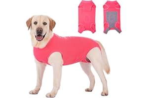 Axcimond Body per cani dopo l'op, protezione contro le perdite per cani, con chiusura in velcro, alternative a coni e collari