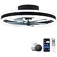 CHANFOK Smart Ceiling Fans with Lights Compatible with Alexa and Google Assistant 20", Low Profile Ceiling Fan with Light and Remote & APP Control, 6-Speed Reversible Blades (Black)