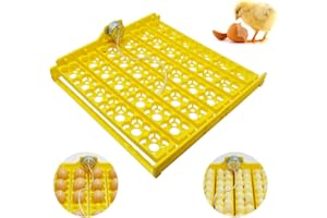 PAIDUOJI Huatuo Plateau à Oeufs Automatique de Nouveau Style avec Moteurs 12V pour incubateur à 56 Oeufs (36+220v Motor)