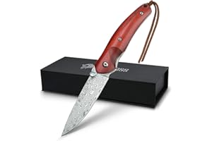 NedFoss VG-10 Acciaio Damasco Coltello Pieghevole Coltello da Tasca,Manico in Legno