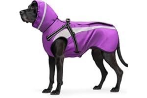 Oslueidy Impermeabile per Cani Cappotto Cane Ombrello per Cani Vestiti Mantellina Pioggia Cane per Piccoli Medio Grandi Cuccioli S-XXL (Violetta, M)