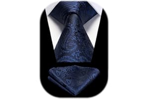 HISDERN Męski krawat paisley chusteczka ślubna krawat i poszetka zestaw