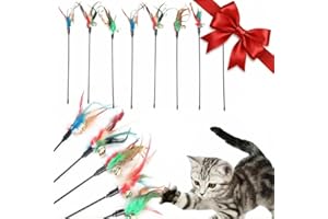 BAOSROY Katzenspielzeug Feder,8pcs Katzenspielzeug,Katzenangel Feder,Katzenangel,Katzenangels Stabil,Interaktives Katzenspielzeug,Interaktives Katzen Spielzeug für Kätzchen