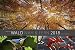 Wald nah und fern Edition - Kalender 2018 by