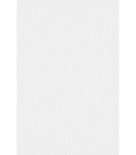 Extra Dik Karton Kraft Recycle 2mm 1500gr 70x100cm - 10 Vel Stevig Basis Kartonj Knutselen Scholen Kinderen