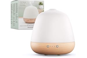 PRANAROM Pranarôm - DIFFUSORE CERA - Diffusione di Oli Essenziali - Ultima Generazione - Festa di Natale